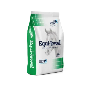 Saracen Equi-Jewel
