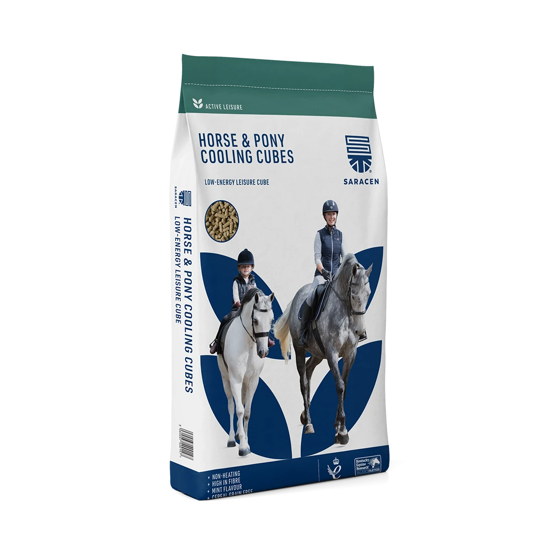 Saracen Horse & Pony Cooling Cubes